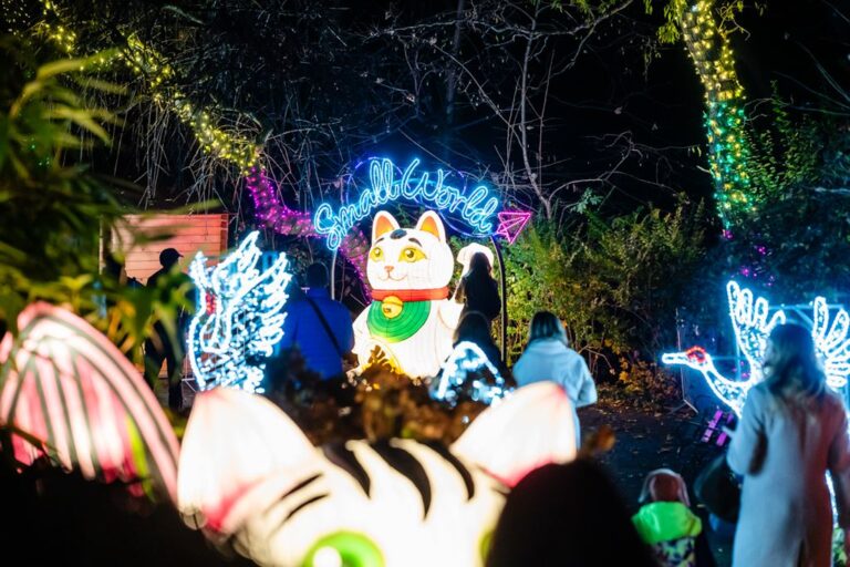 Garden of Lights