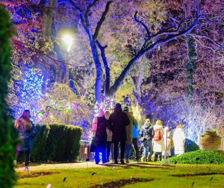Garden of Lights – „Small World” Cluj-Napoca: Destinația perfectă pentru o ieşire în natură 6 Small World