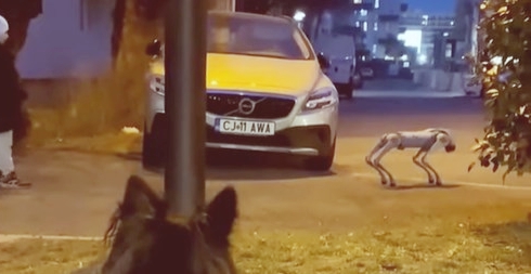Boston Dynamics
