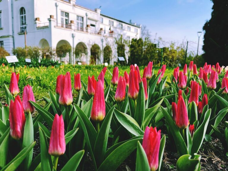 Grădina Botanică