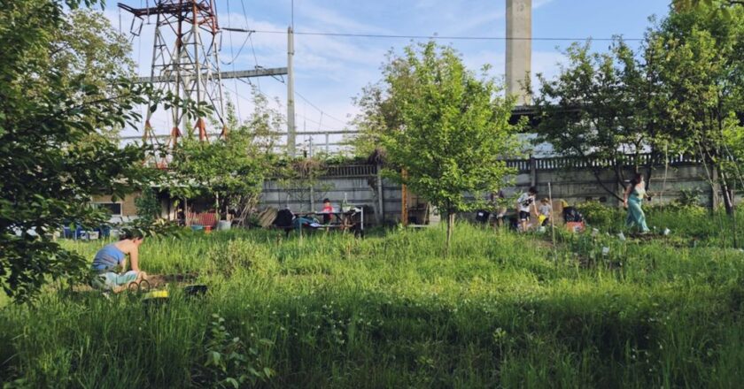 Grădinile comestibile