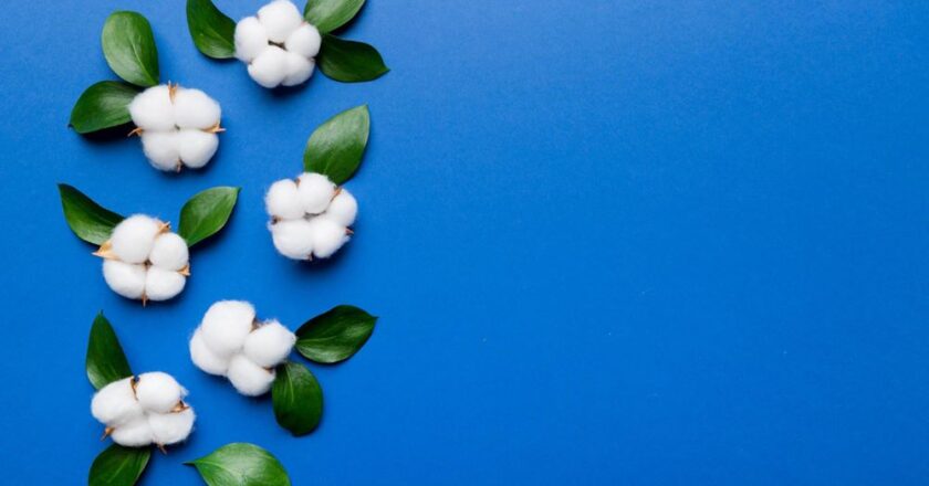 Produsele menstruale