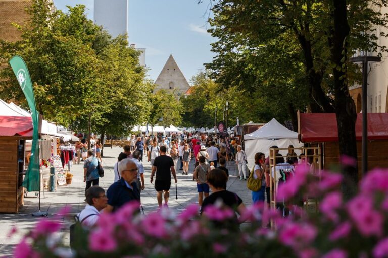Cultura nu ia pauză la Cluj: 7 zile de spectacole, filme, muzică și tradiții în centrul orașului 2 Cultura