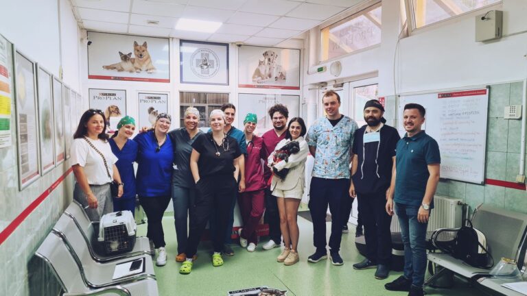 Maratonul Sterilizărilor Gratuite