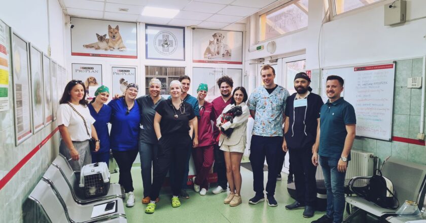 Maratonul Sterilizărilor Gratuite