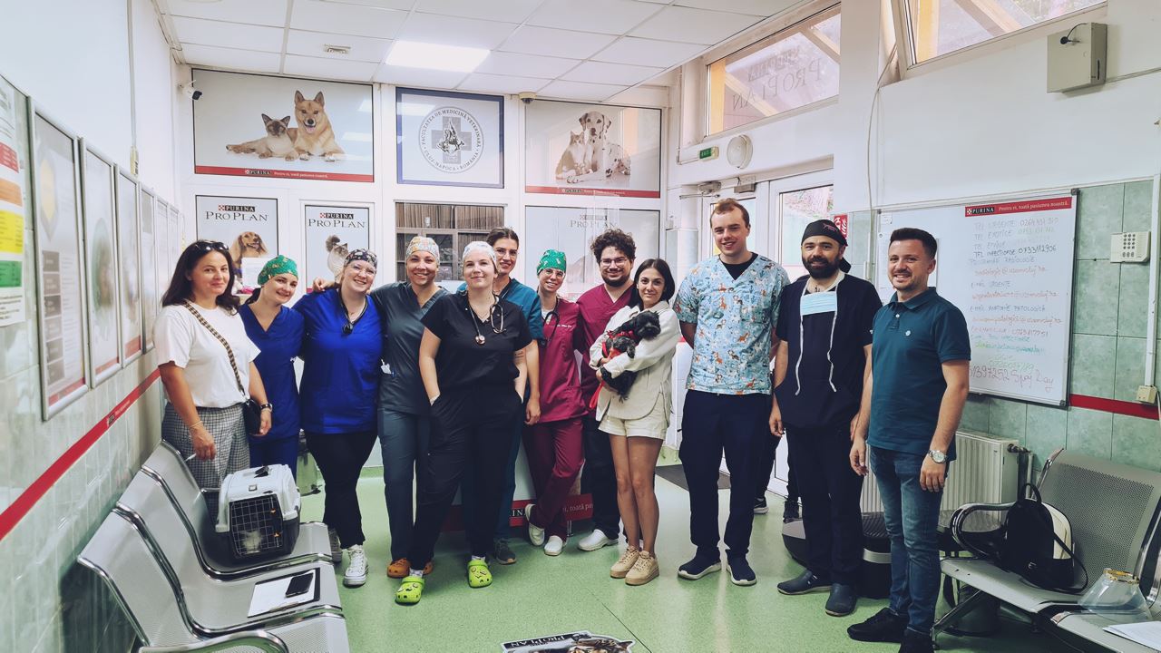Maratonul Sterilizărilor Gratuite