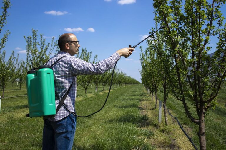 insecticidelor