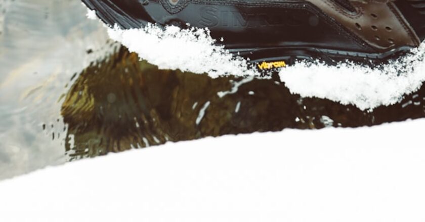 Saboții de protecție