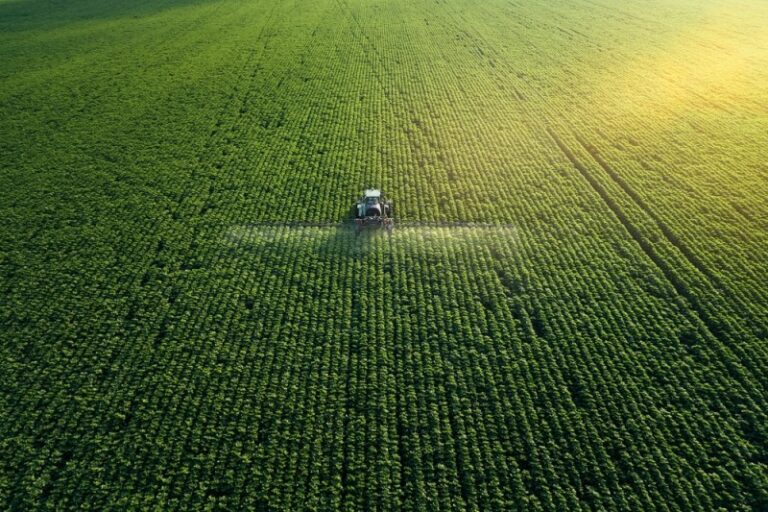 Insecticide ecologice utilizate în grădină