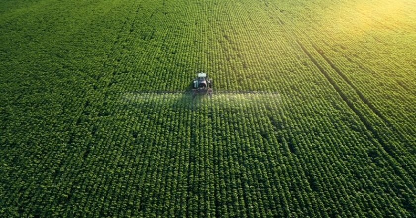Insecticide ecologice utilizate în grădină