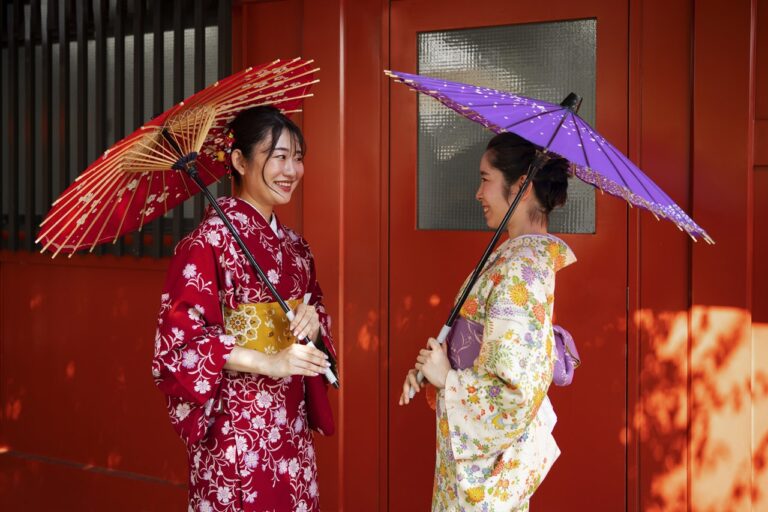 Festivalul Culturii Japoneze la Cluj-Napoca: Muzică, arte marțiale și ikebana într-un eveniment pentru toți clujenii 5 Festivalul Culturii Japoneze