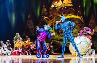 Cirque du Soleil Cluj