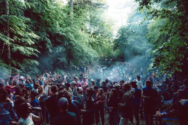 SANTSAT ajunge pentru prima dată la Cluj: Festivalul de zi din Budapesta care transformă picnicurile în ringuri de dans 6 SANTSAT
