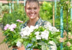 flori de primăvară