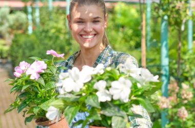 flori de primăvară