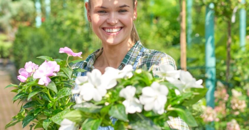 flori de primăvară