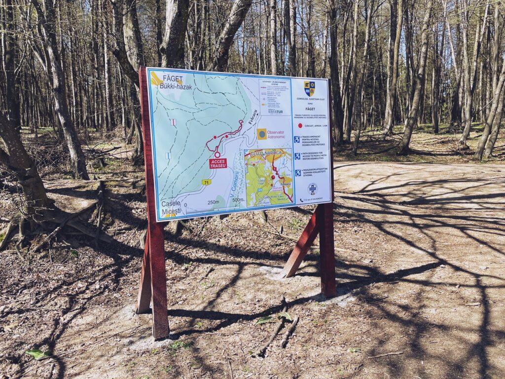 Pădurea Făget