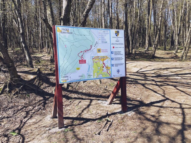 Pădurea Făget